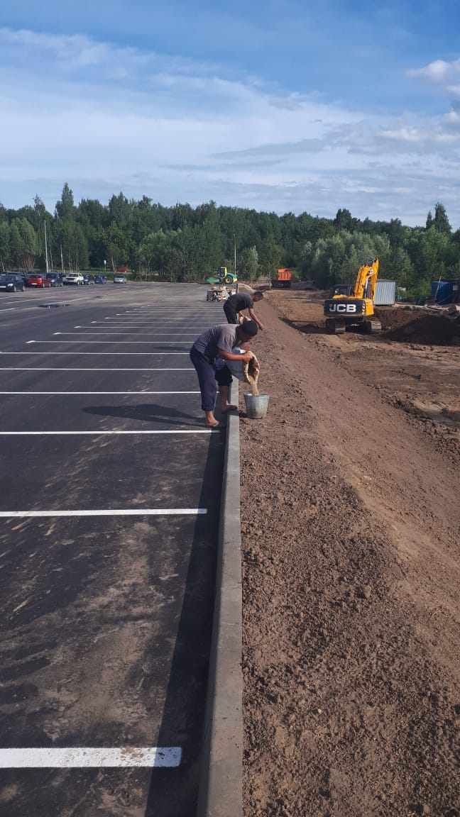 высадка газона